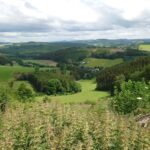 Sauerland 1