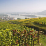 Wiesbaden Und Rheingau